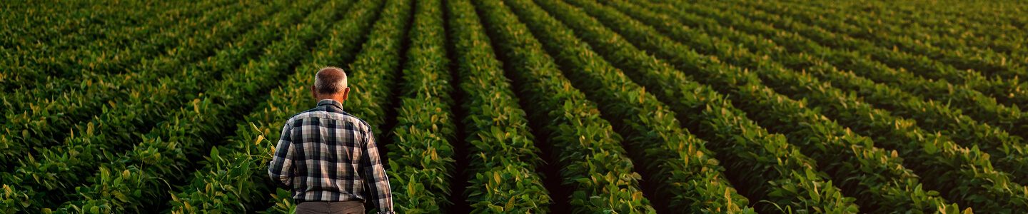 adubacao-serie-leitura-do-solo-a-base-da-decisao-bg